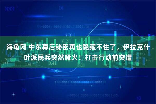 海龟网 中东幕后秘密再也隐藏不住了，伊拉克什叶派民兵突然哑火！打击行动前突遭