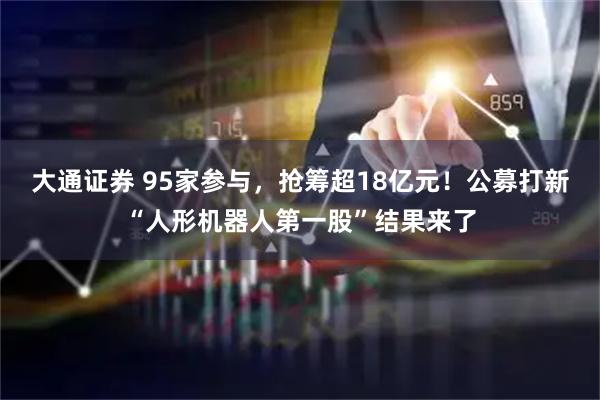 大通证券 95家参与，抢筹超18亿元！公募打新“人形机器人第一股”结果来了